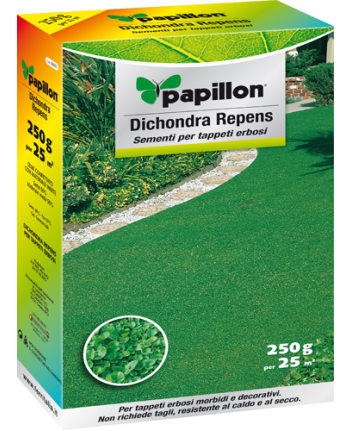 SEMI PRATO "DICHONDRA REPENS" PAPILLON - 250gr - ideale per aiuole