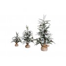 Pinetto innevato 50cm con pigne real touch Albero di natale REALISTICO NATALIZIO