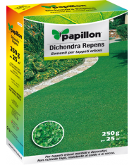 SEMI PRATO "DICHONDRA REPENS" PAPILLON - 250gr - ideale per aiuole